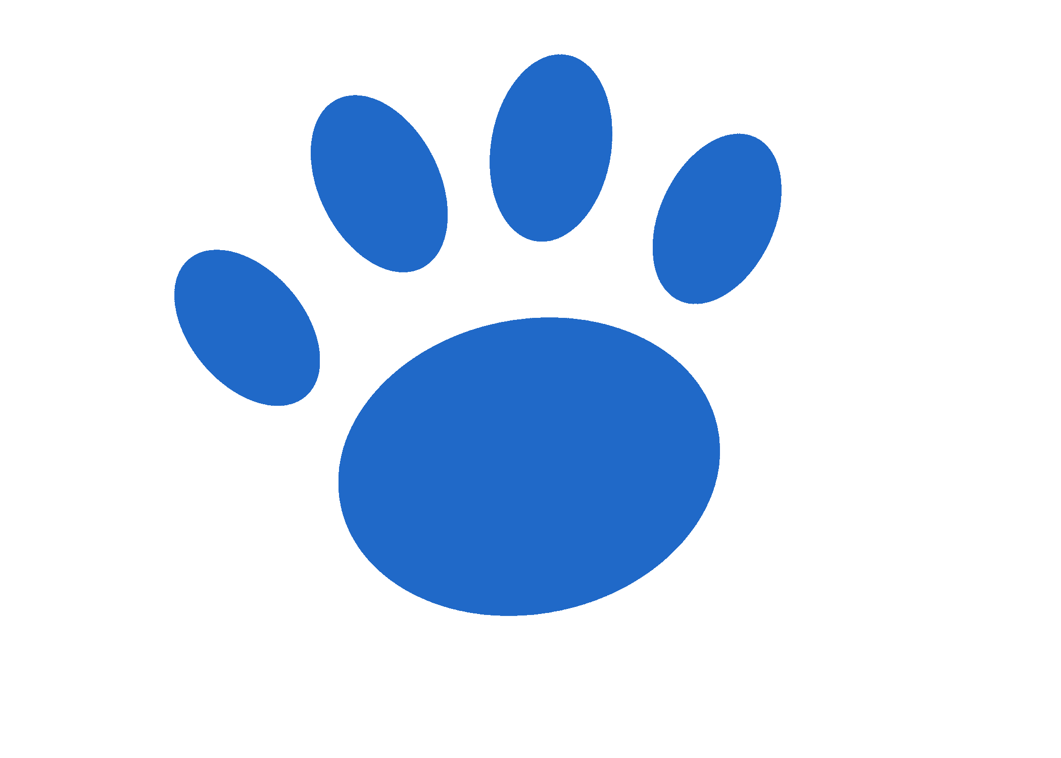 Paw Loyalty Rewards Program