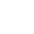 icon tier rank 2