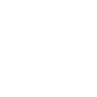 icon tier rank 1