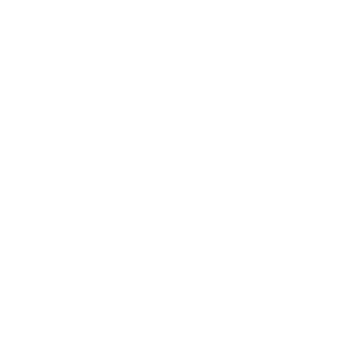icon tier rank 2
