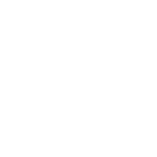 icon tier rank 3