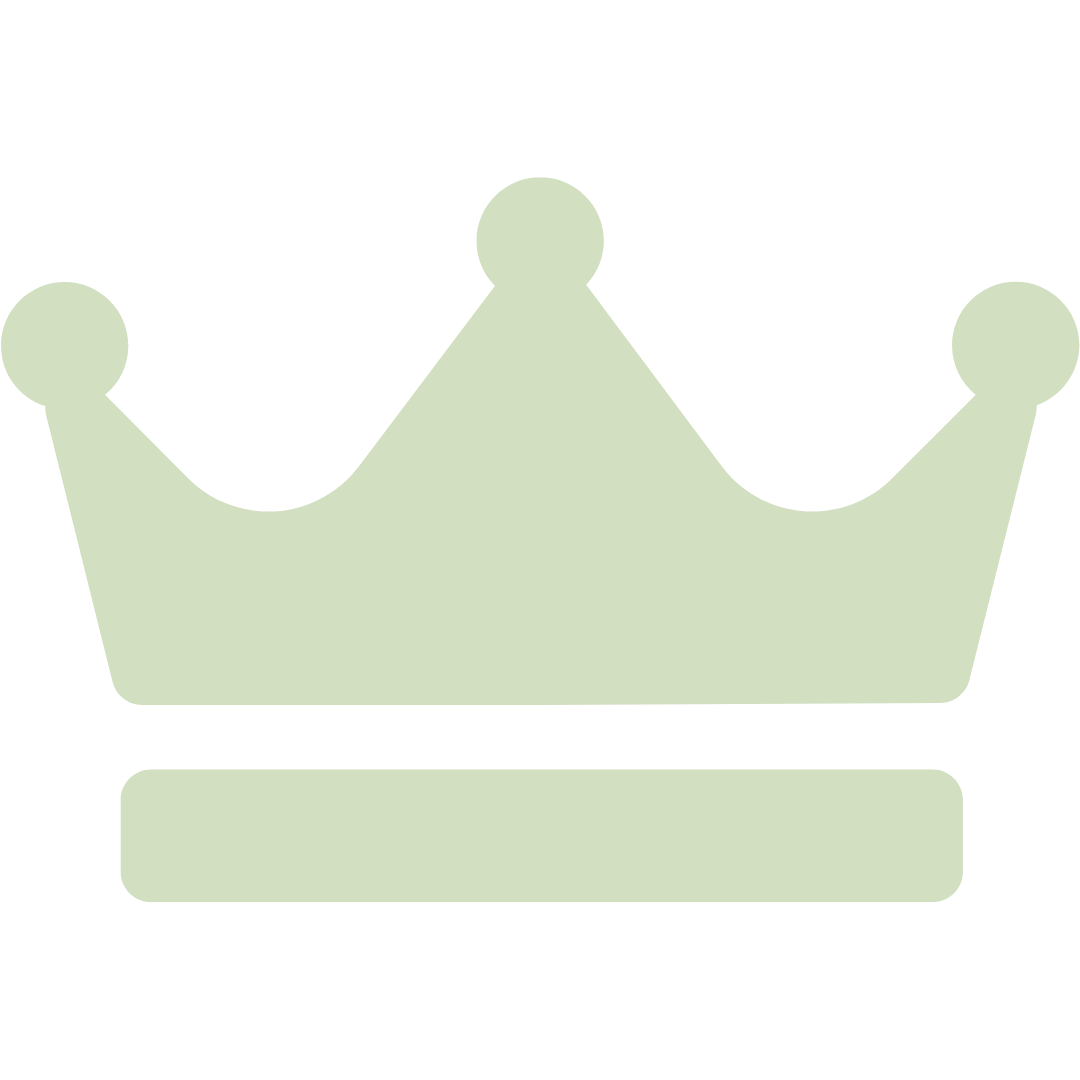 icon tier rank 3
